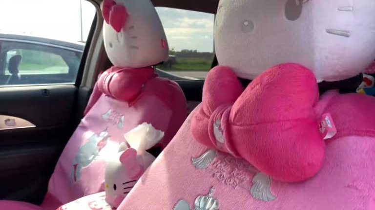 Understanding The Prettiest Hello Kitty Car Seat Covers
