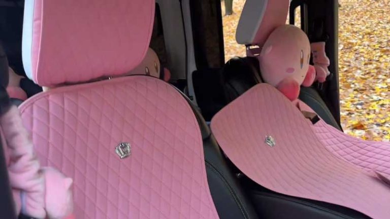 Pink Leather Car Seat Covers for Your Vehicle
