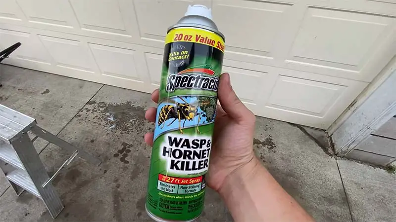will ant spray damage car paint