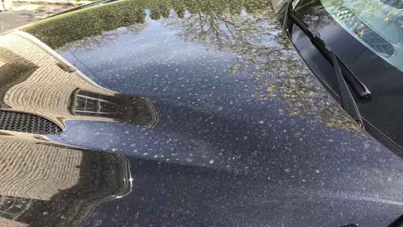 Does Pollen Damage Car Paint?