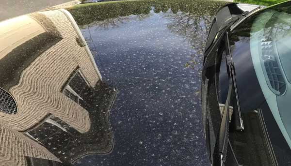 How to Get Dried Pollen Off the Car