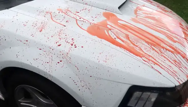 Does Fake Blood Stain Car Paint?
