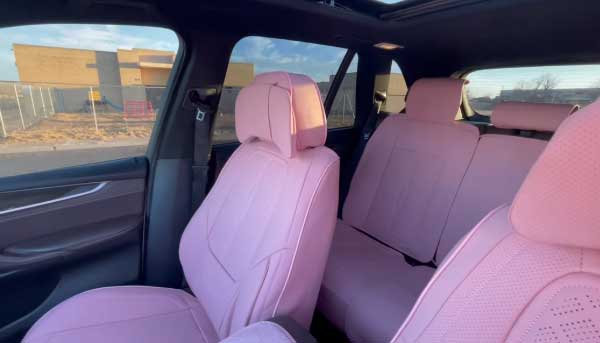 Why did Girls want to Invest in Pink Car Seat Covers?