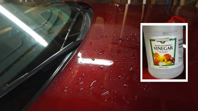 will vinegar damage car paint