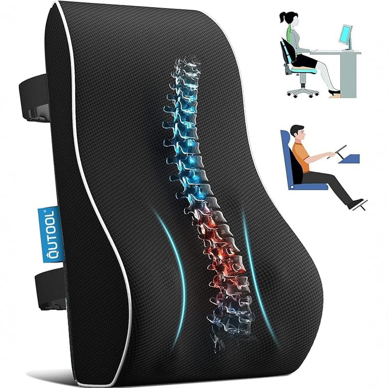 Lumbar Support Office Pillow