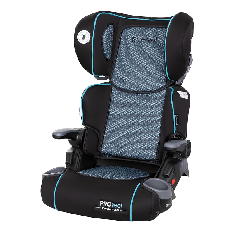 Baby Trend Protect 2-in-1