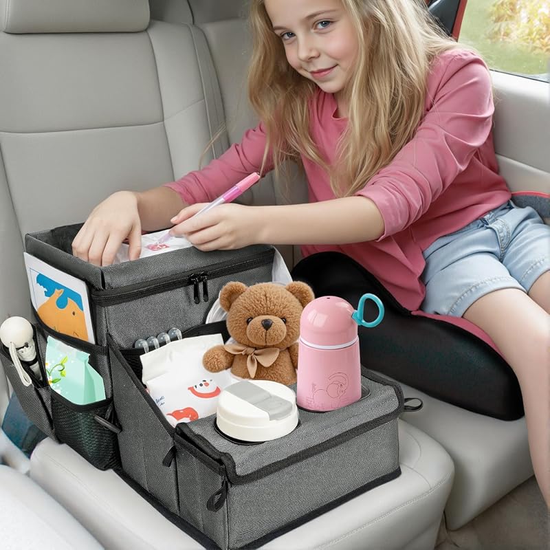 Backseat Cooler Organizer