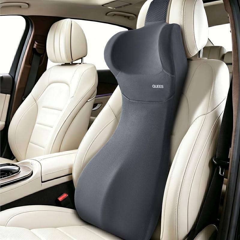 Lumbar Support Pillow and Headrest
